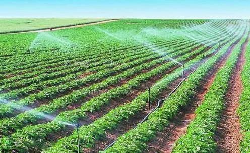 男人狂插女人视频农田高 效节水灌溉